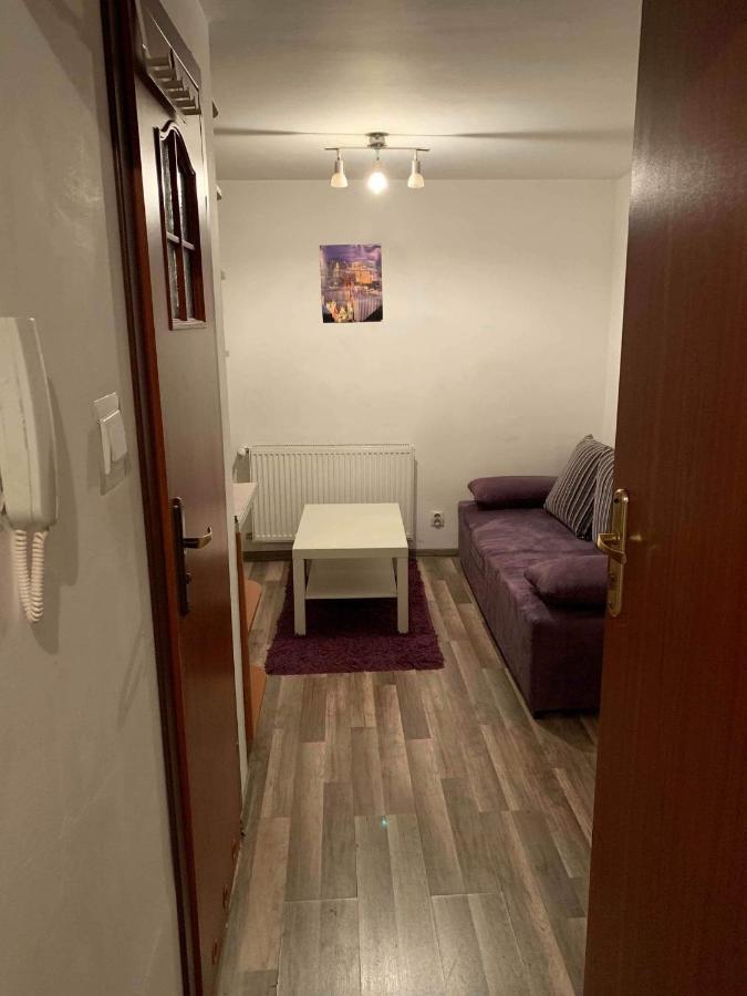 Cozy Studio Apartment Krasków Exterior foto
